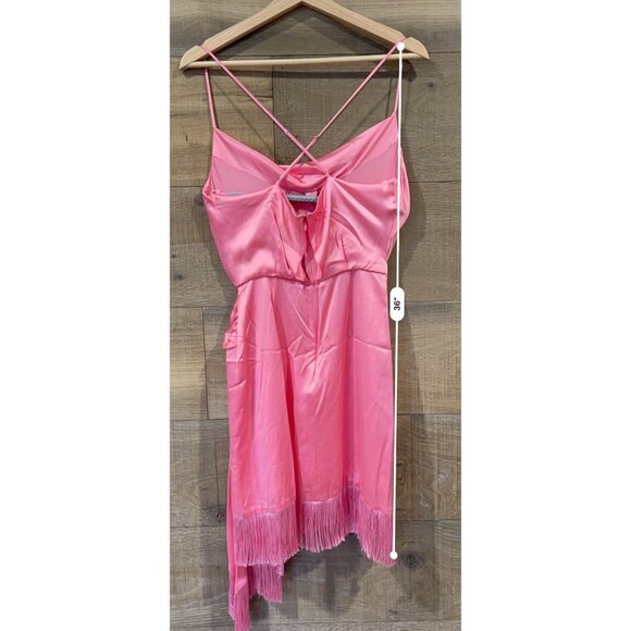 Cinq a Sept Octavia pink fringe Dress in Flamingo size 2 - Picture 7 of 11